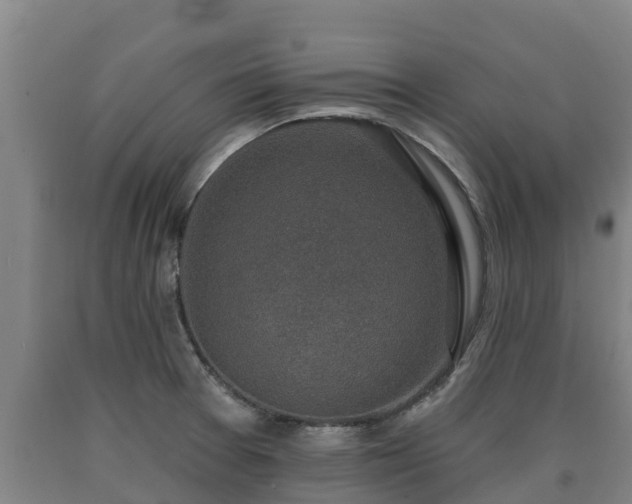 X0000090731377200707271354