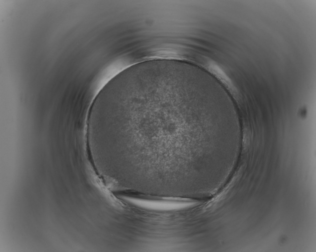 X0000090731378200707271354