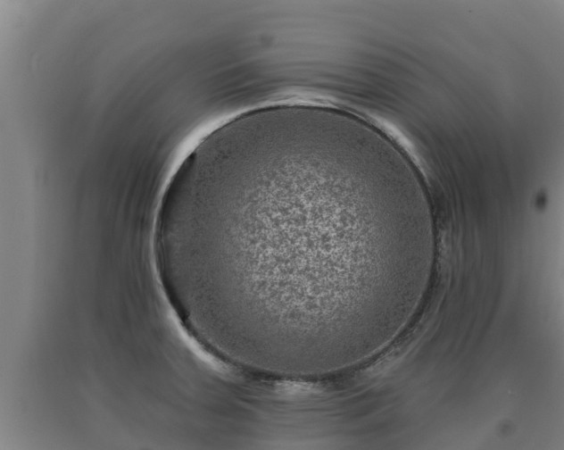 X0000090731379200707271354
