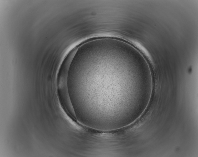 X0000090731380200707271354