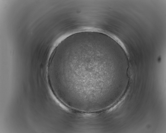 X0000090731381200707271354