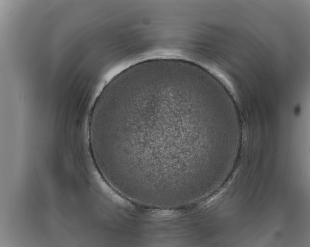 X0000090731382200707271354