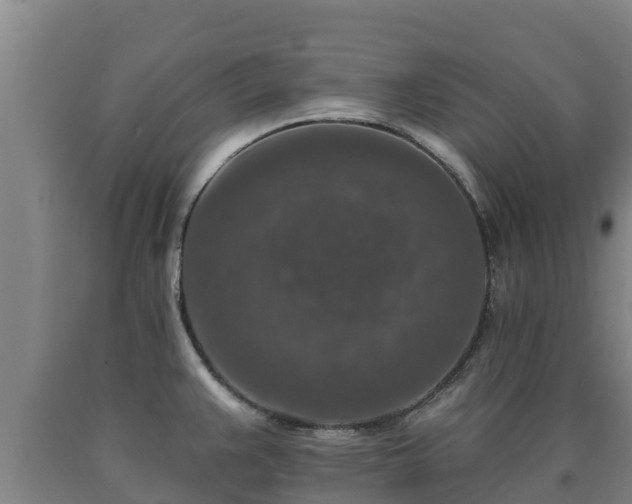 X0000090731383200707271354