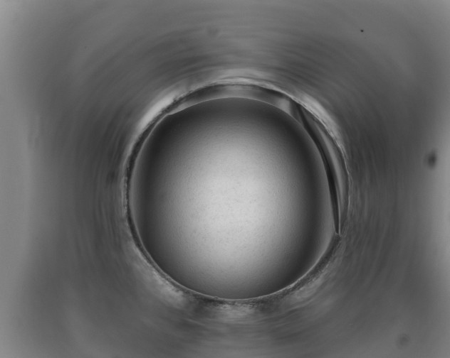 X0000090731384200707271354