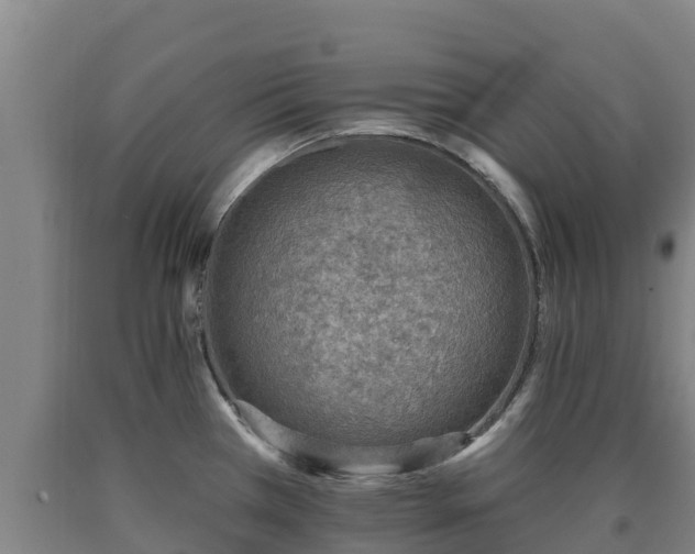 X0000090731385200707271354