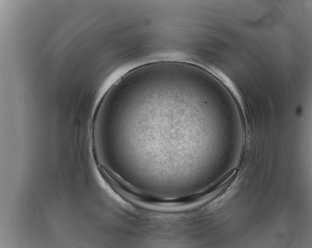 X0000090731389200707271354