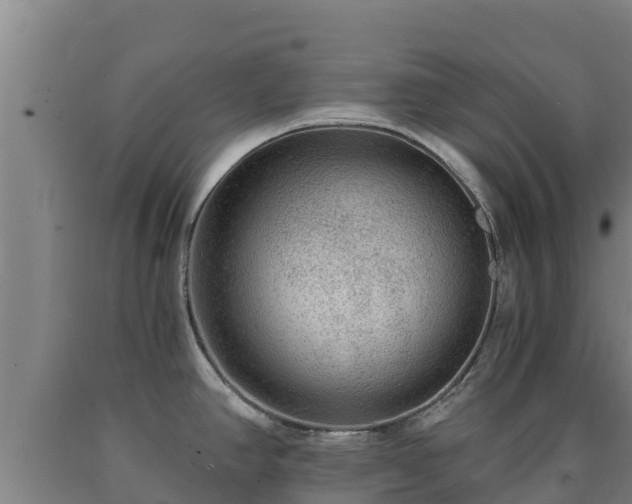 X0000090731390200707271353