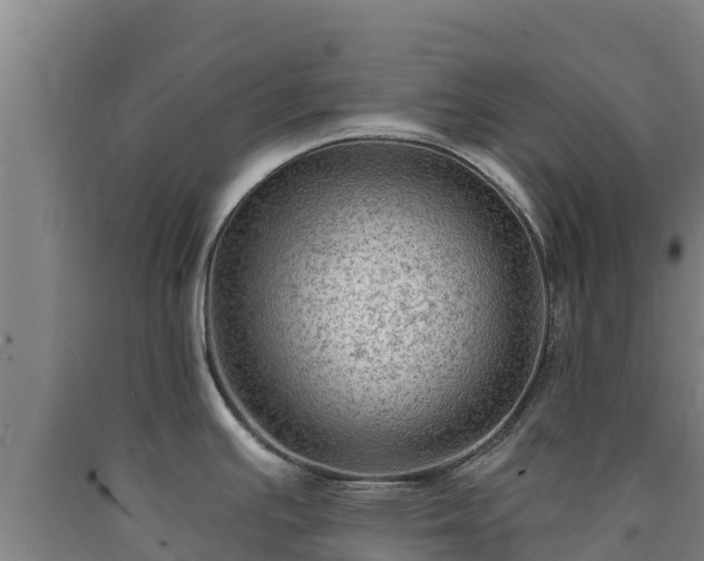 X0000090731391200707271353