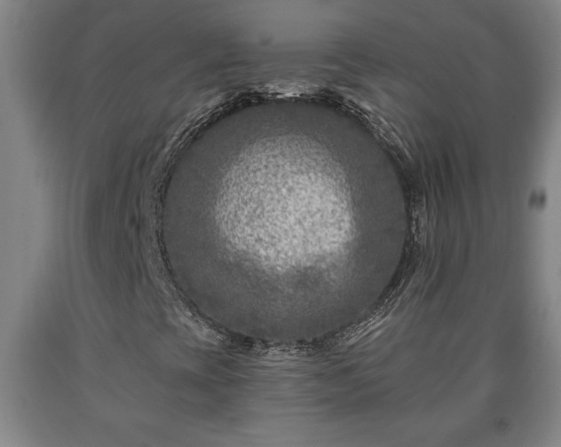 X0000090731393200707271353