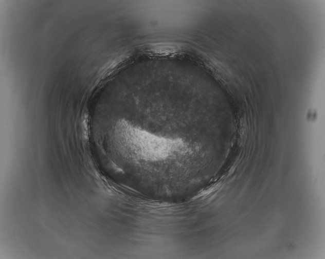 X0000090731394200707271353