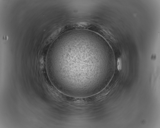 X0000090731395200707271353