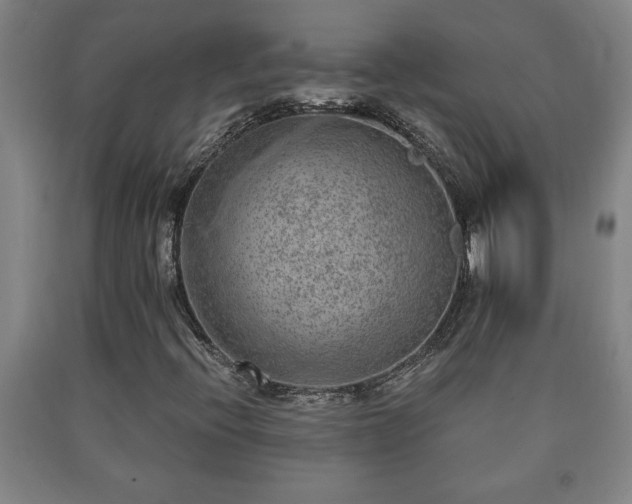 X0000090731396200707271353