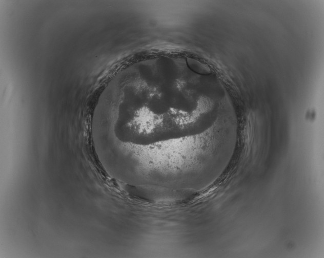 X0000090731397200707271353