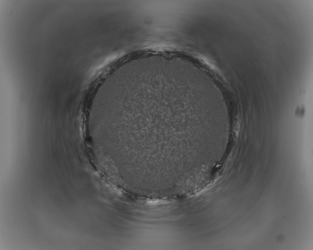 X0000090731398200707271353