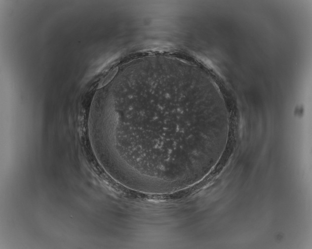 X0000090731399200707271353