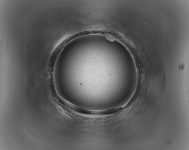X0000090731400200707271353