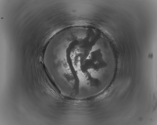 X0000090731401200707271353
