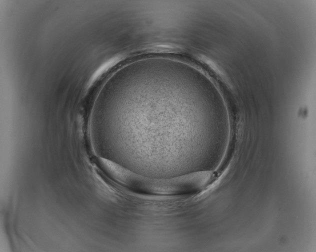 X0000090731402200707271353