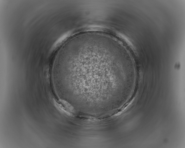 X0000090731403200707271353