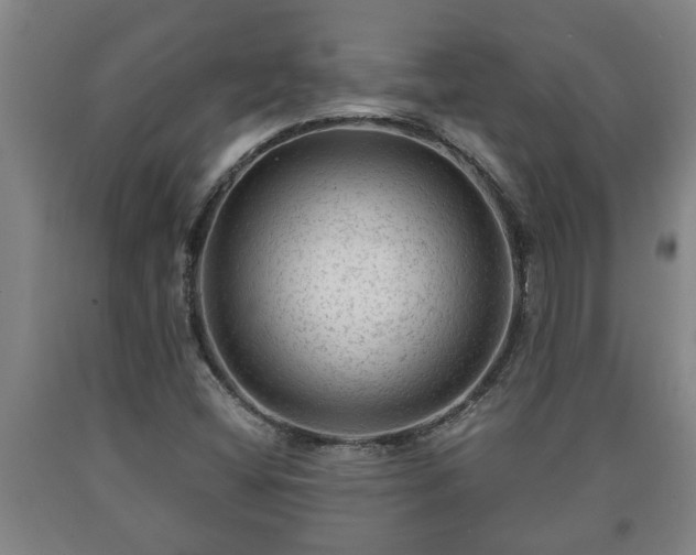 X0000090731404200707271353