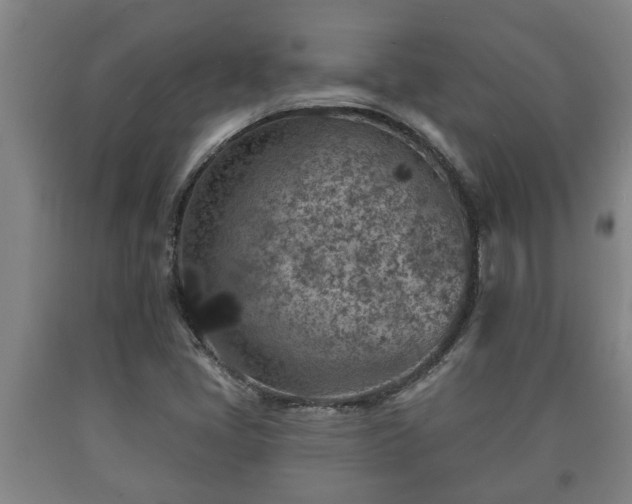X0000090731405200707271353