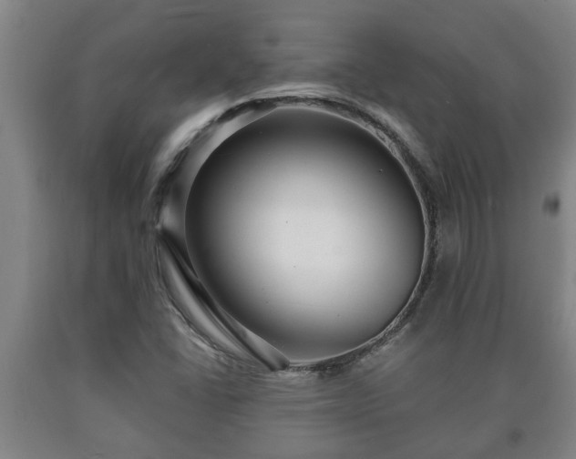 X0000090731406200707271353