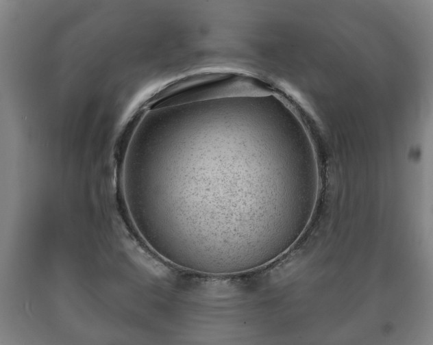 X0000090731408200707271353