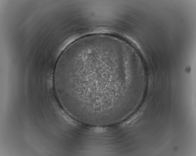 X0000090731409200707271353