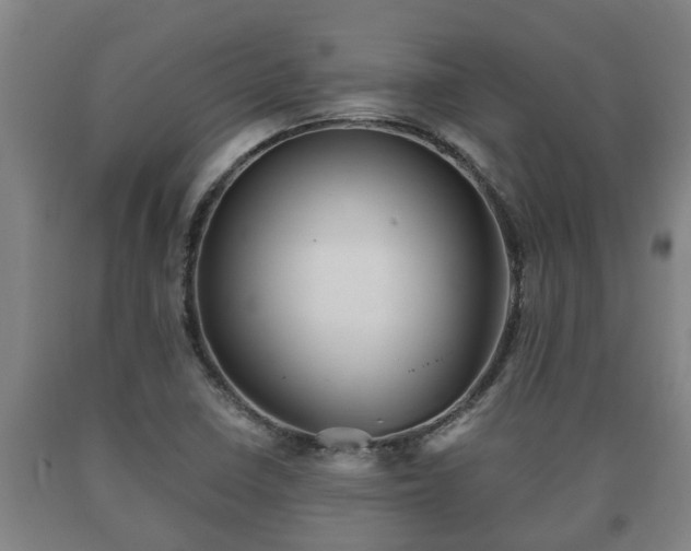 X0000090731410200707271353
