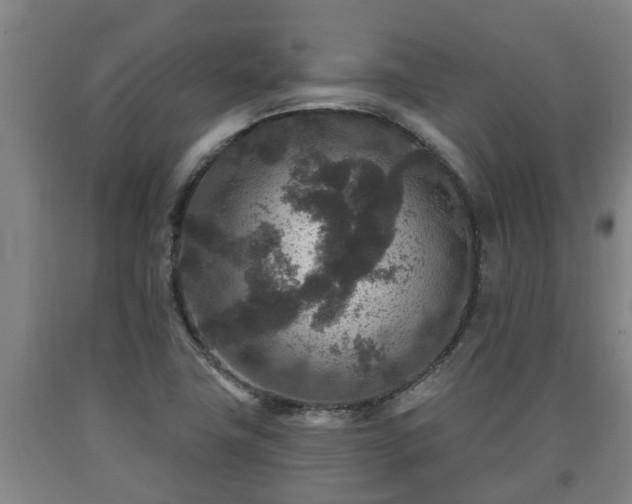 X0000090731411200707271353