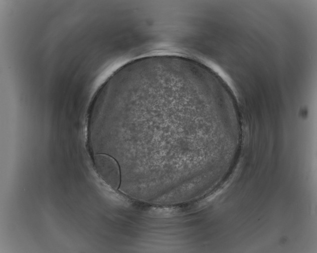 X0000090731415200707271353