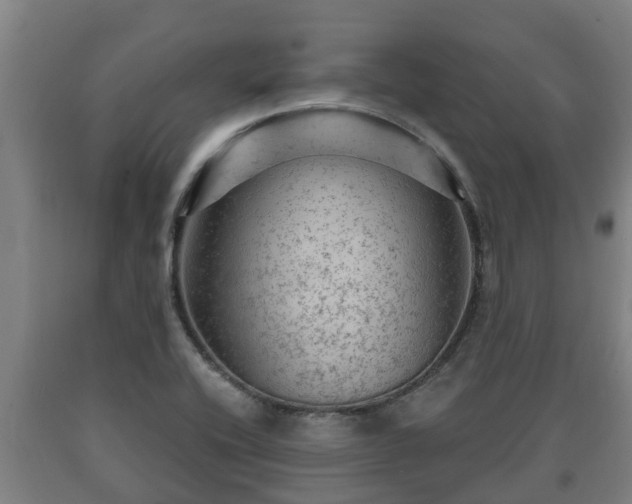 X0000090731416200707271353