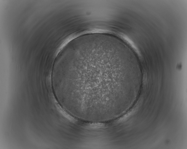 X0000090731417200707271353