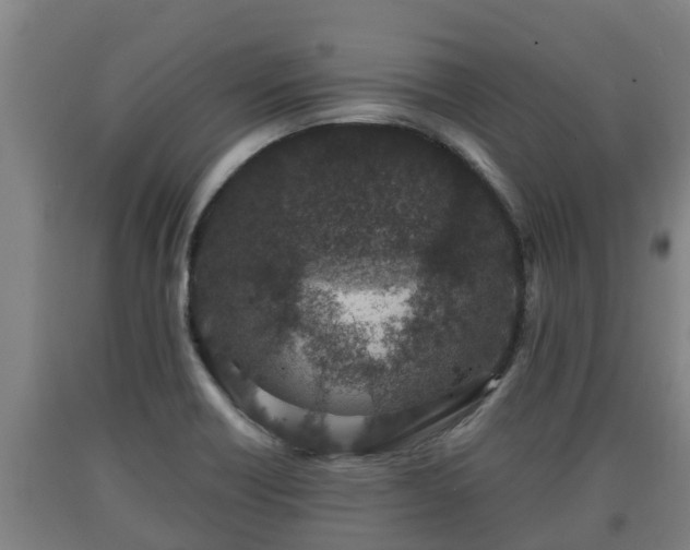 X0000090731418200707271353