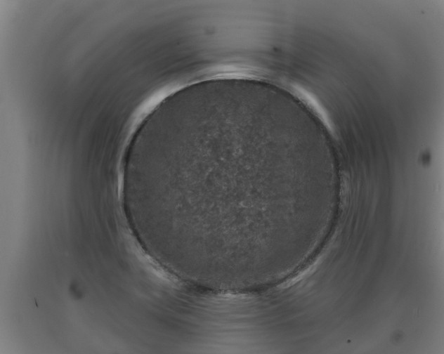 X0000090731419200707271353
