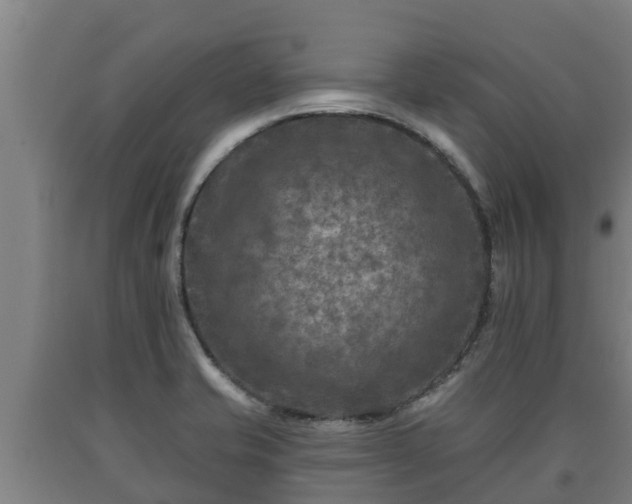 X0000090731421200707271353