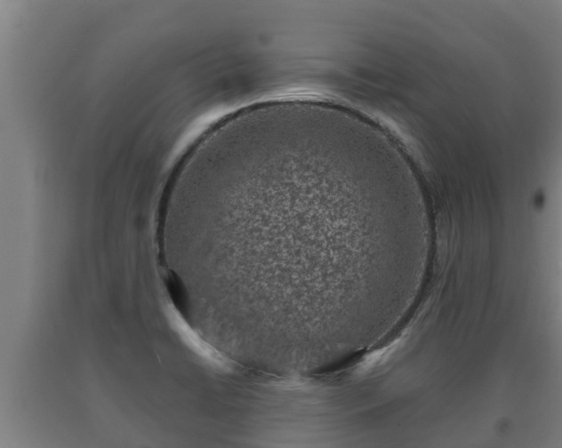 X0000090731422200707271353