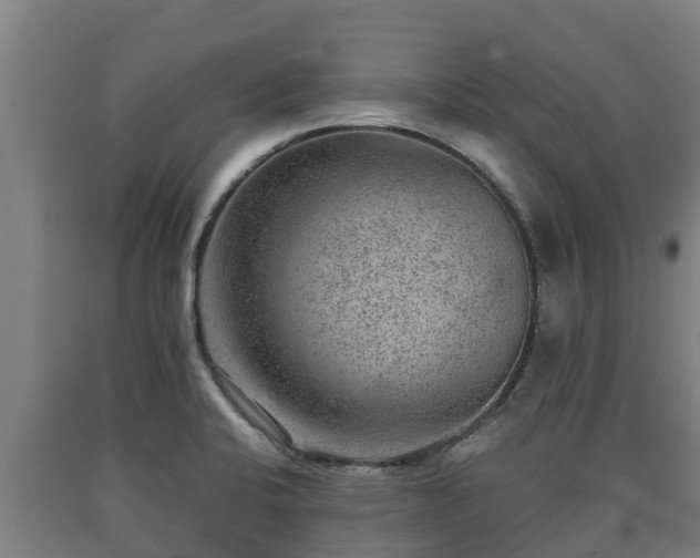 X0000090731424200707271353