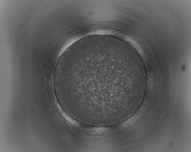 X0000090731425200707271353