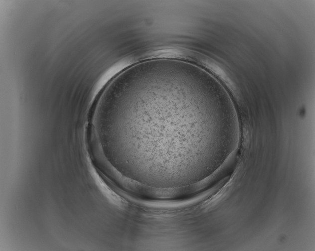 X0000090731426200707271353