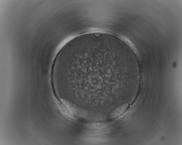 X0000090731427200707271353