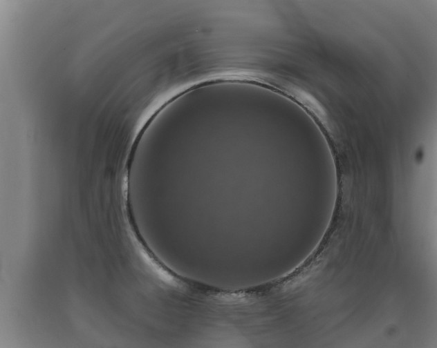 X0000090731428200707271353