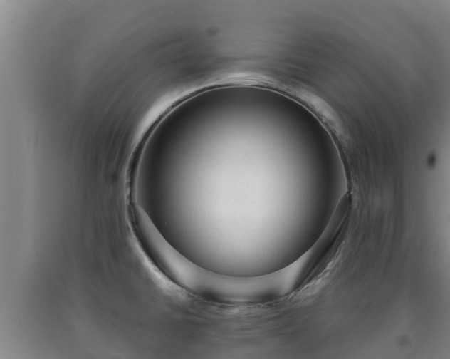 X0000090731430200707271353