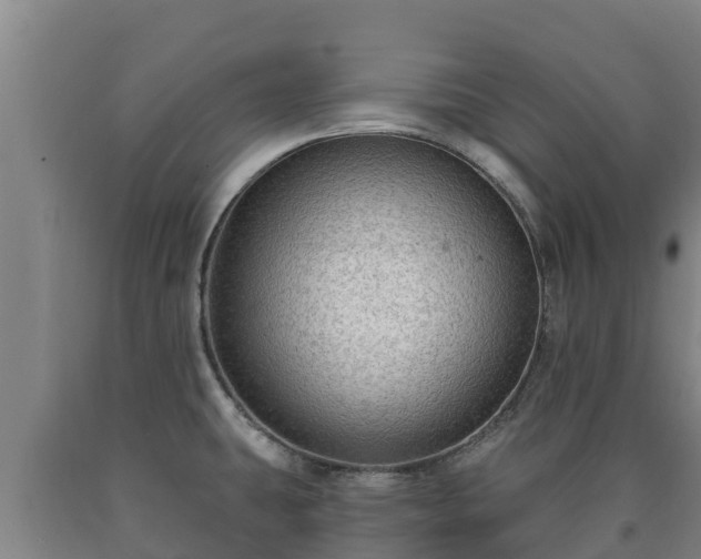 X0000090731431200707271353