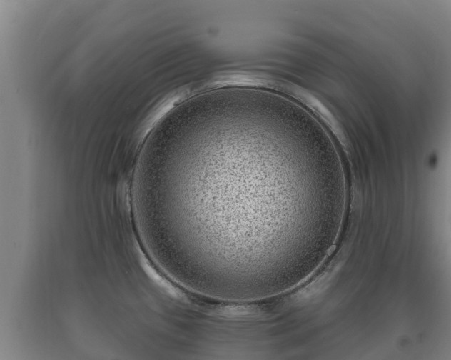 X0000090731433200707271353
