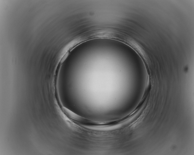X0000090731434200707271353