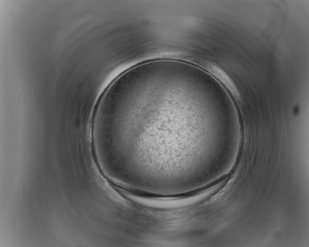 X0000090731436200707271353
