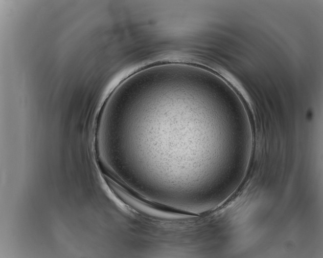 X0000090731437200707271353