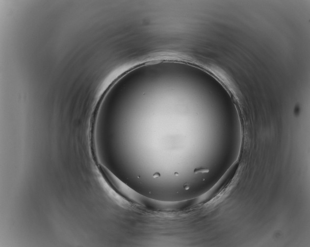 X0000090731438200707271353