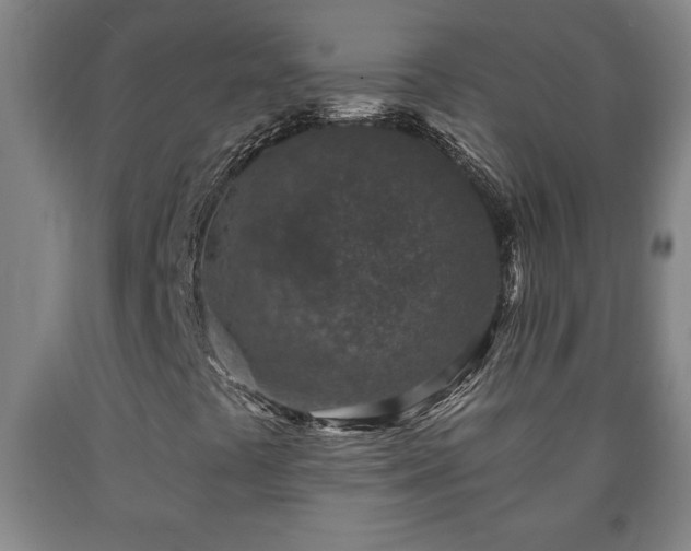 X0000090731441200707271353